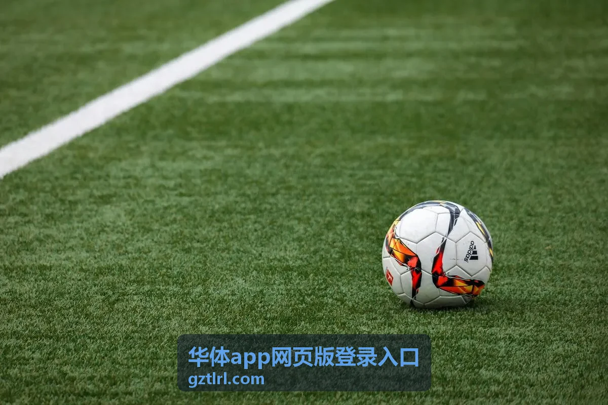华体app网页版登录入口密码找回说明配图
